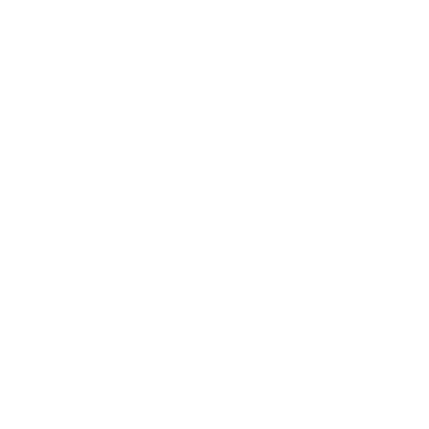 Baggashe